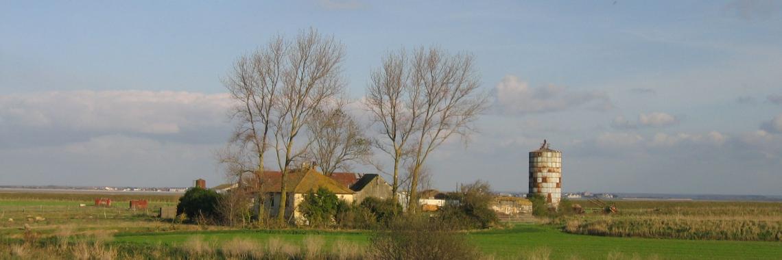 Terreno agricolo con edifici, pascoli e seminativi, Baie de Sommes/Francia (Foto: Alexandra KRUSE 2011) Terreni agricoli