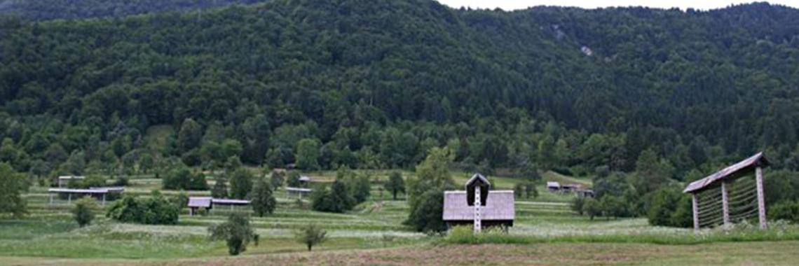 Haystacks or Hayracks or further structures related to Haymaking exist(ed) in nearly every country as temporary structure with high visibilty. Here an example from Slovenia, where the "Kozel" are a wide spreaded landscape element. (Photo: Bled/SI, Alexandra KRUSE 2010)