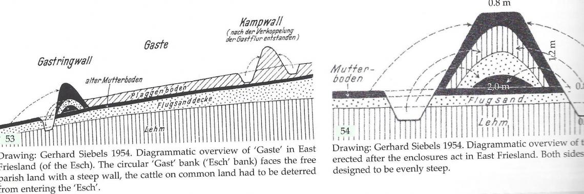 Typical structure of a wall/earth bank. (Georg MÜLLER 2013, p. 348)