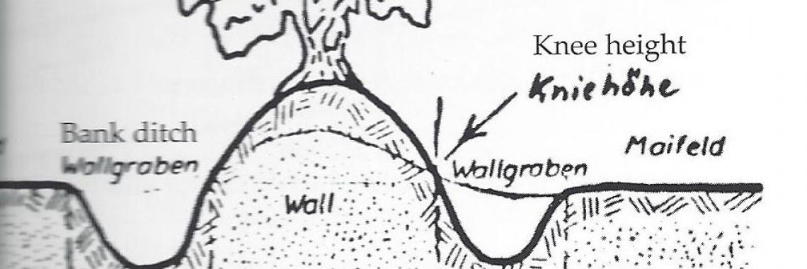 Typical structure of a Knick (North Germany) with two gaps left and right of the earth bank and with plants on top.(Georg MÜLLER 2013, p. 351)