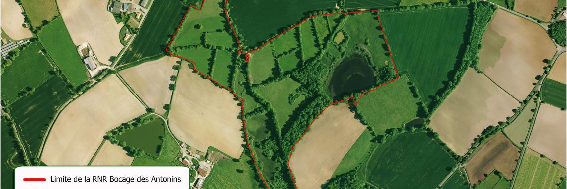 Enclosed fields in Poitou-Charentes