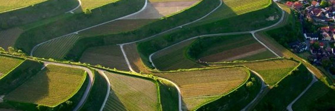 Large-scale artificial wine terraces in the Kaiserstuhl region, created in the 1970ties and 1980ties. The small, traditional wine terraces have been replaced with huge machines in order to create bigger terraces on which the farmers can use tractors. (Kaiserstuhl, close to Freiburg/Baden-Württemberg) https://www.pinterest.de/pin/532198880939415431/