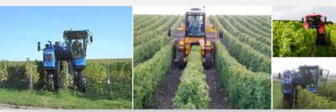 As wine production is very old and has not changed too much in some of the regions, the tools and techniques used are still traditional (collage made by A. KRUSE by fishing in the web).