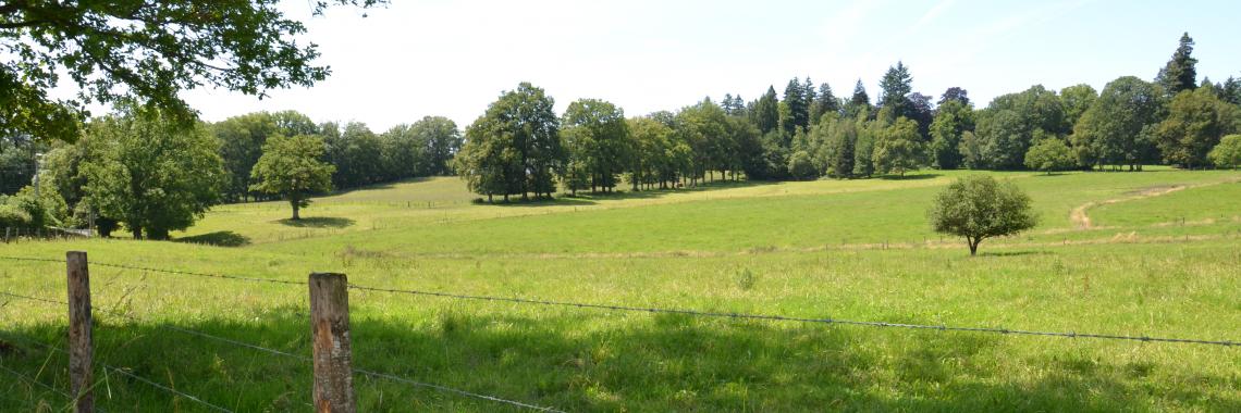 Landscape of partly enclosed fields in Limousin