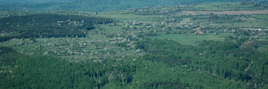 Terraced landscape in Budina in Slovakia