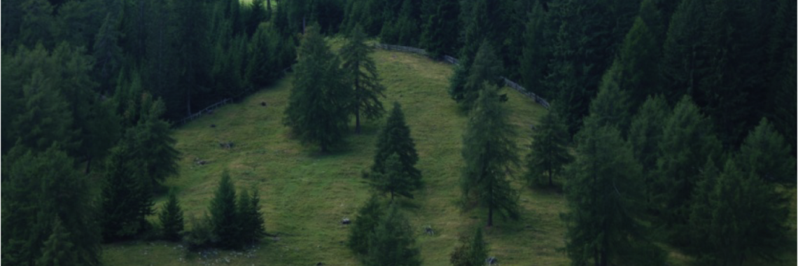 Alto Adige – Salten wooden pastures with larch