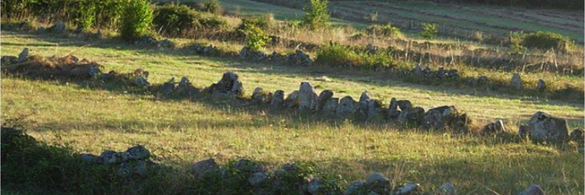 Enclosed fields in the Valle de los Pedroches in Cordoba in Spain
