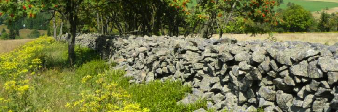 Stonewalled enclosed fields in Czech Republic