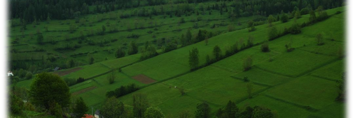 Enclosed fields in Slovakia