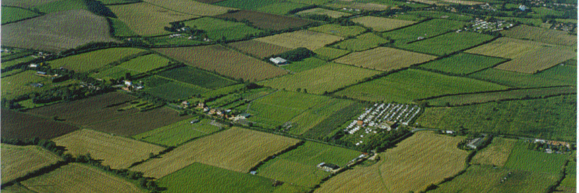 Hedged fields of parliamentary enclosure in the United Kingdom