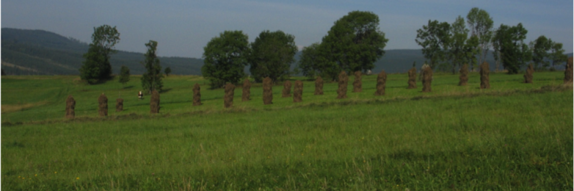 Hay field in Slovakia