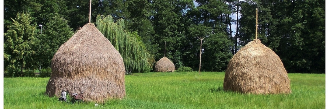 Haystack in the Spreewald in Brandenburg (South-East of Berlin) in Germany