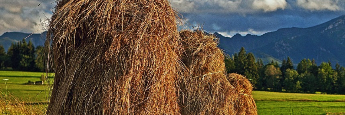 Haystack in Slovenia