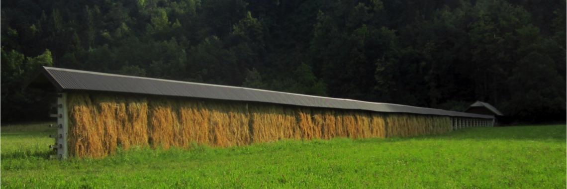 Hay making in Slovenia