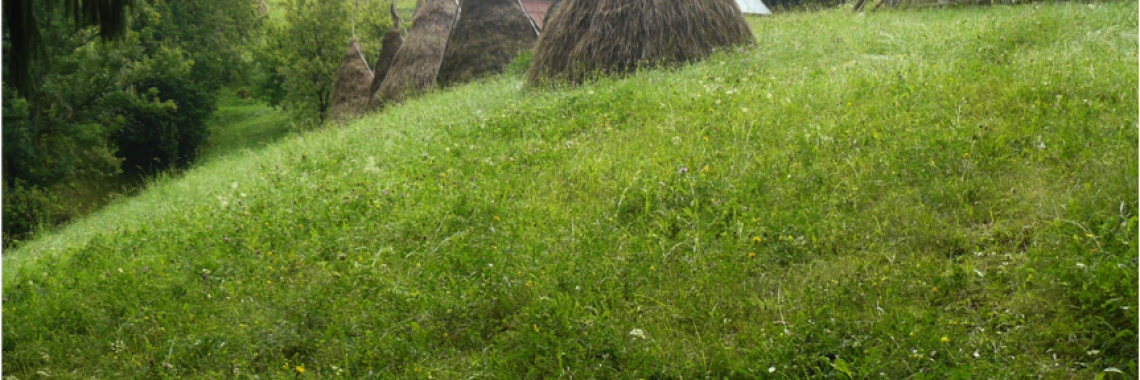 Haystack in Slovakia