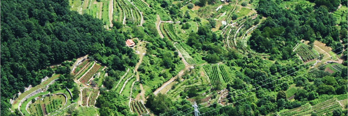 White Istria Zvonejske njivi terraced sinkhole