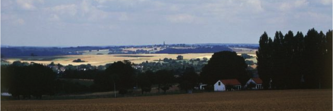 Wooded grassland landscape in Germany