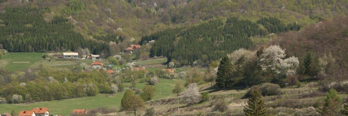 Farmland in Detva in Slovakia