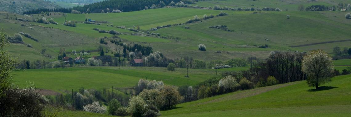 Farmland in Slovakia