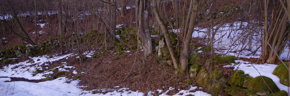 Enclosed fields in Tisovnik in Slovakia