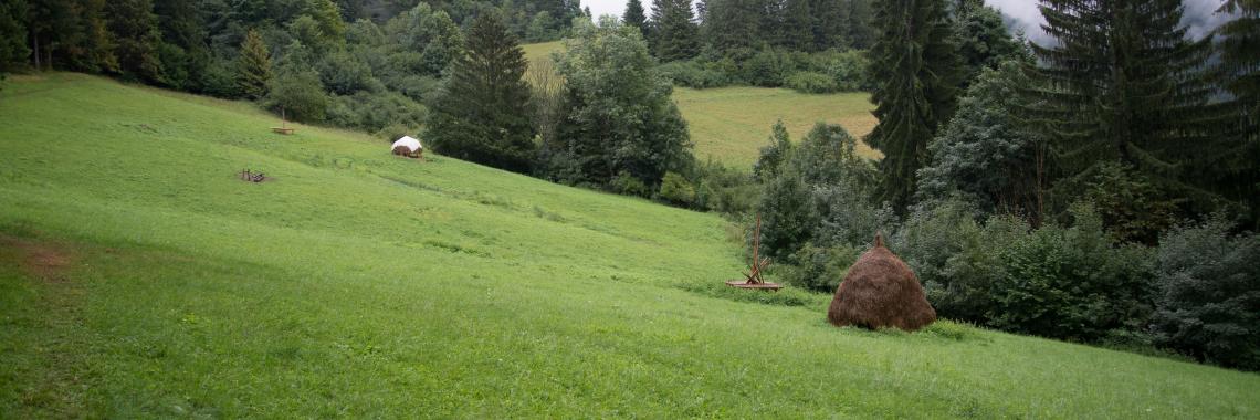 Hay making in Mala Fatra in Slovakia