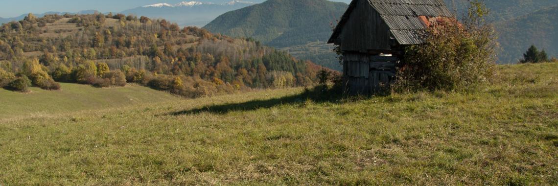 Hay making in Vlkolinec in Slovakia