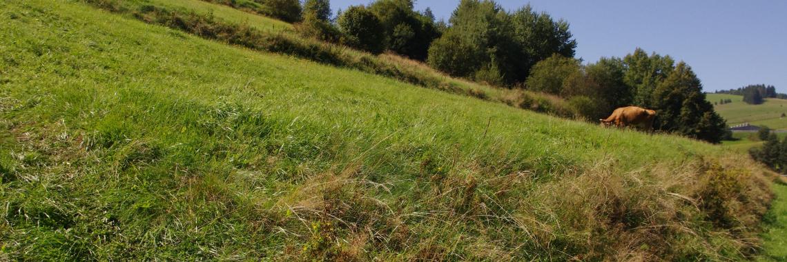 Terraced landscape in Cierny Balog in Slovakia