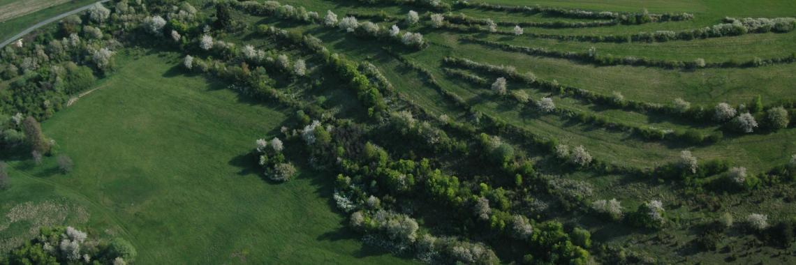 Terraced landscape in Budina in Slovakia