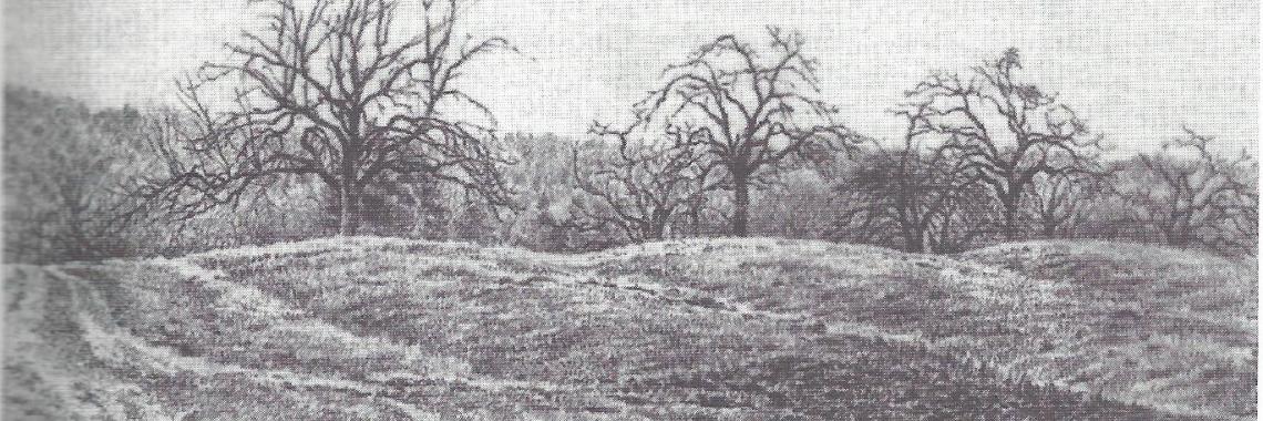 Wölbäcker are not considered as terraces, but their outer appearance is quite similiar. Wölbäckers are in the plains, created by ploughing from both sides towards the crown in order to reduce e.g. humidity of the ground. Have been used as fields in former times and are conserved today through grassland and/or orchard use. (Konold 1996, p. 104)