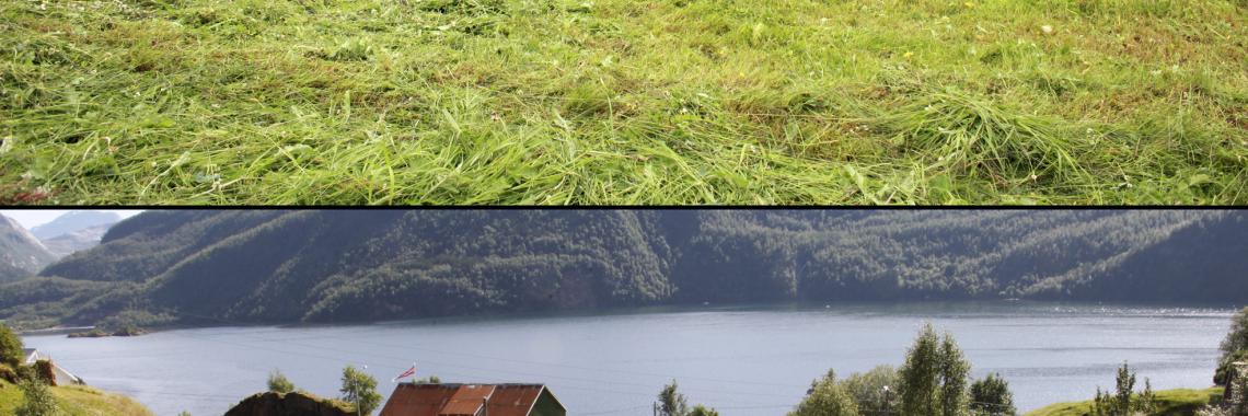 Annual voluntary collective hay mowing in 2012 and 2013 in Sørfold municipality, North-Norway island of Furøya, South-Norway. Combined barn with access bridge to hay floor in the background. (Photo: Rakel Nystabakk, Oskar Puschmann / NIBIO).
