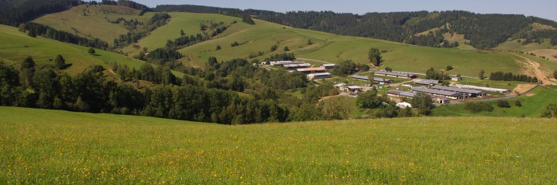 Pastoral land in the cadastral district of Čierny Balog - a big farm. SK / Banská Bystrica Region / Brezno District. Martina Slamová. 2016