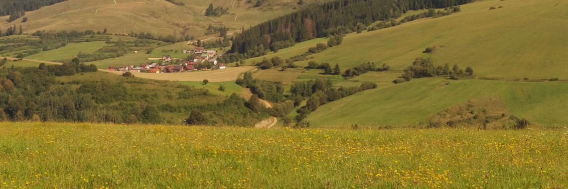 Typical pastoral landscape of the cadastral district of Čierny Balog. SK / Banská Bystrica Region / Brezno District. Martina Slamová. 2016