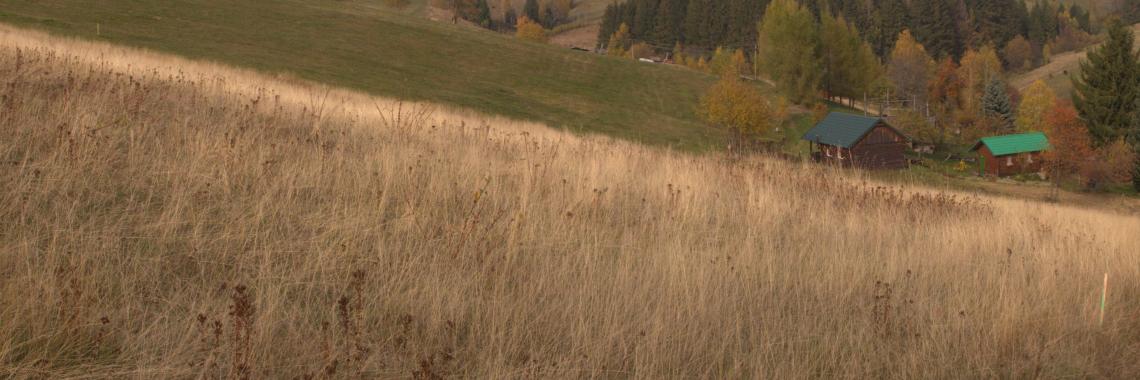 Typical pastoral landscape of the cadastral district of Drábsko in the Veporské Vrchy Mts. SK / Banská Bystrica Region / Brezno District. Martina Slamová. 2017
