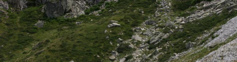 Common land