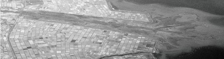Paesaggi delta