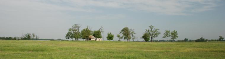 Fallow land