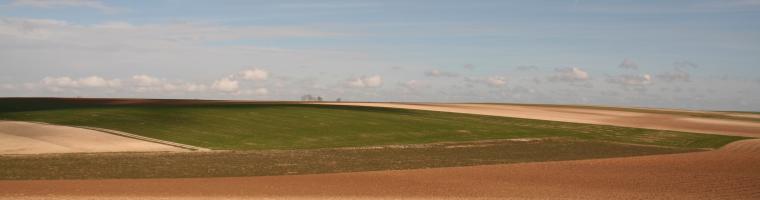 Fields