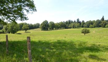 Landscape of partly enclosed fields in Limousin