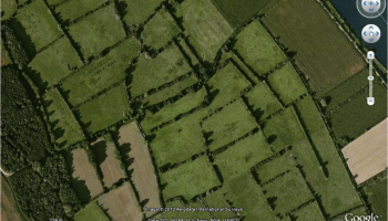 Enclosed fields in the Netherlands