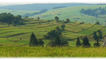 Enclosed fields in Slovakia
