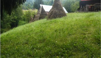 Haystack in Slovakia